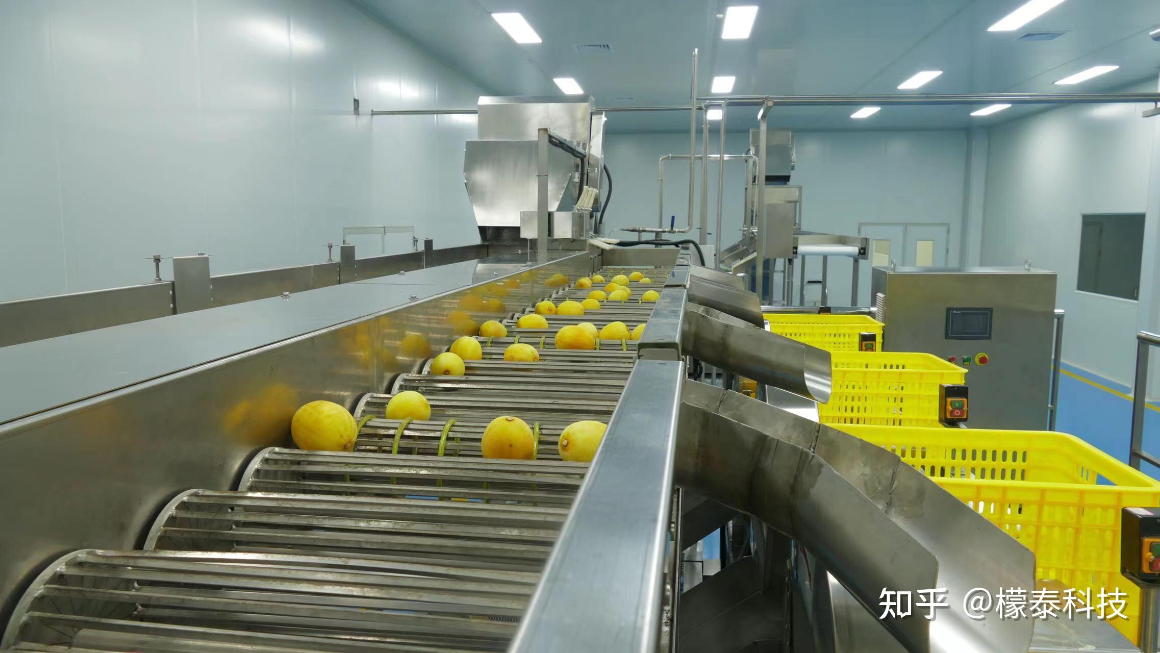 关于檬泰柠檬生产线