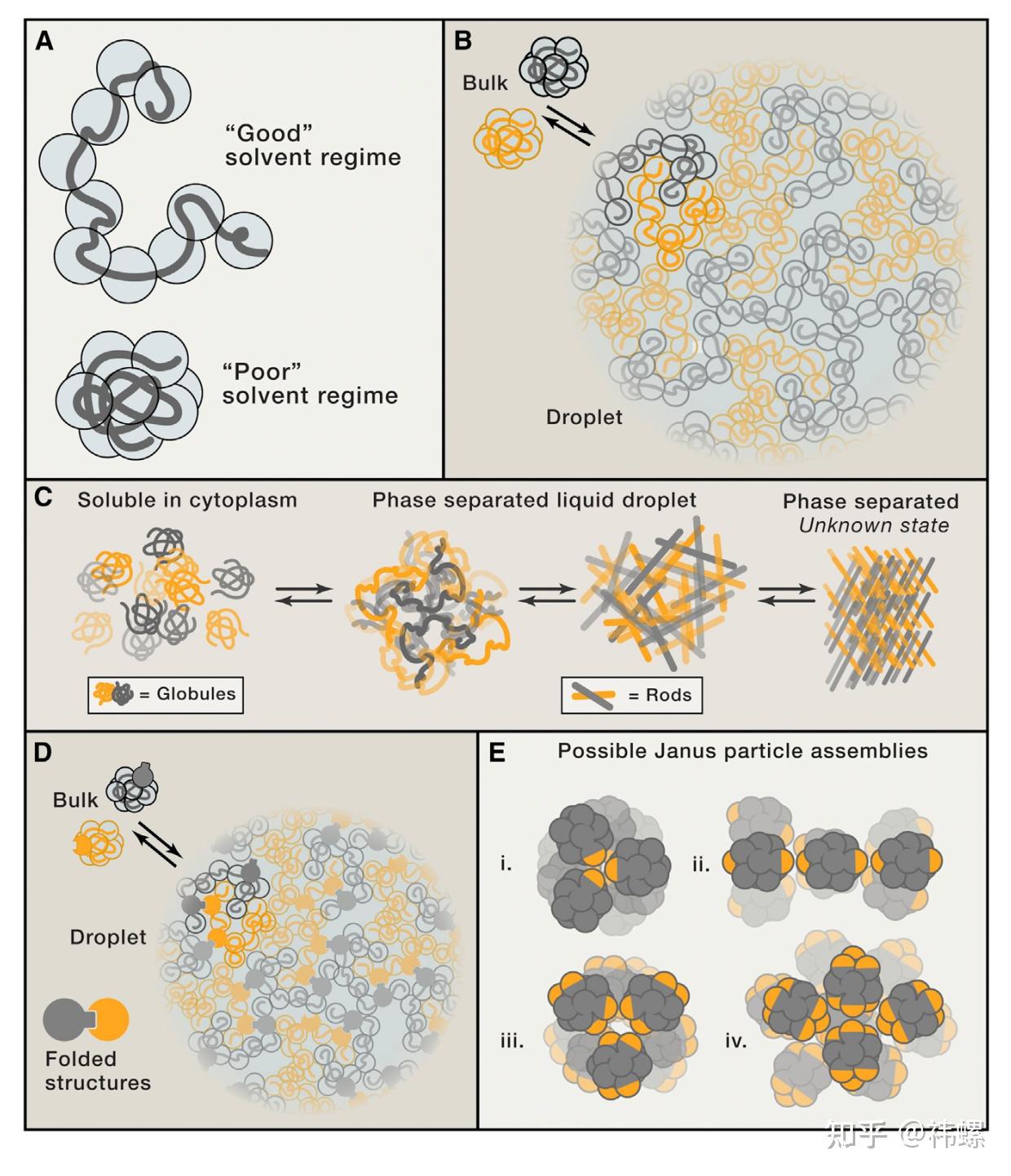 相分离相关综述(5) 知乎