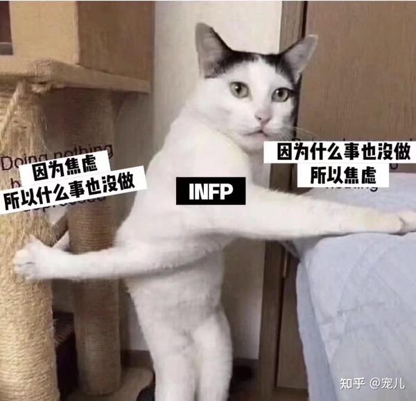 INFP梗图表情包 - 知乎