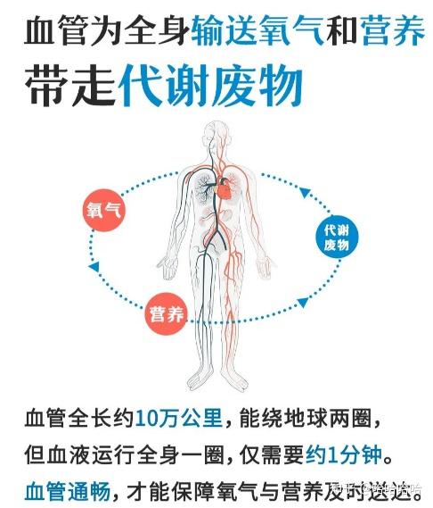 是时候来一次“血管体检了” - 知乎