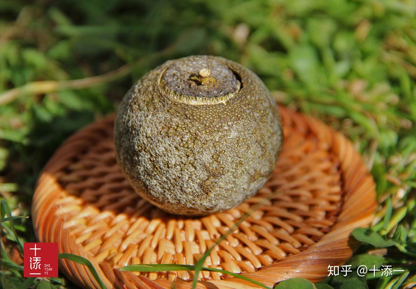 而柑橘精油蘊含d-檸檬烯,β-欖香烯,香