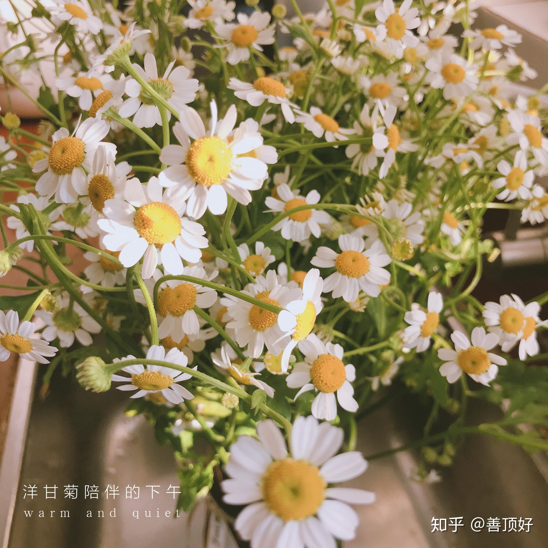 冬日暖暖的午后 - 知乎
