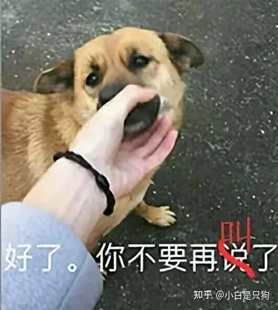这6种情况,狗狗也会“骂人”,你还不知道?