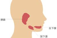 是时候复习一下流行性腮腺炎的知识了