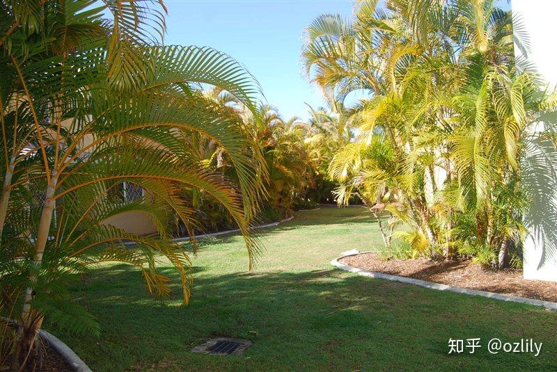 遭遇英语下马威