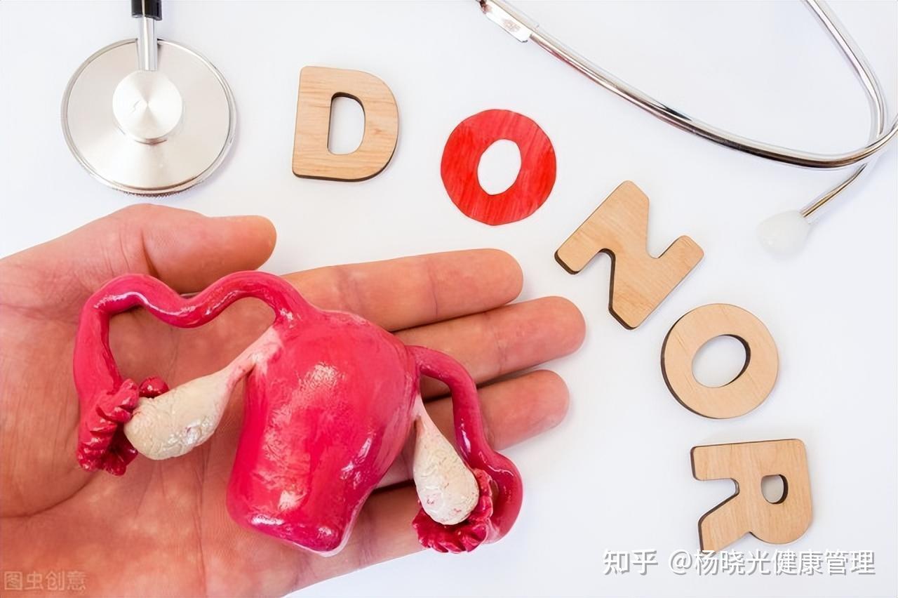 zhuanlan.zhihu.com