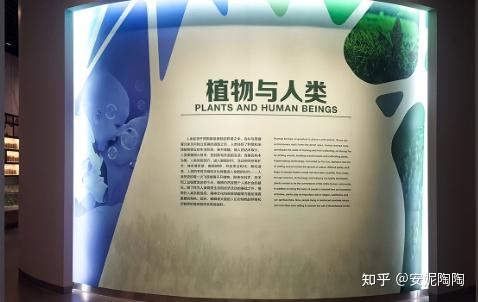 北京自然博物馆导览地球上生命发生发展的全景图