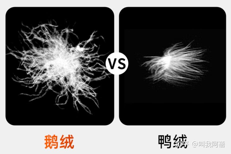 2023羽绒服男|女品牌推荐:鹅绒和鸭绒哪个更好?羽绒服什么牌子好?