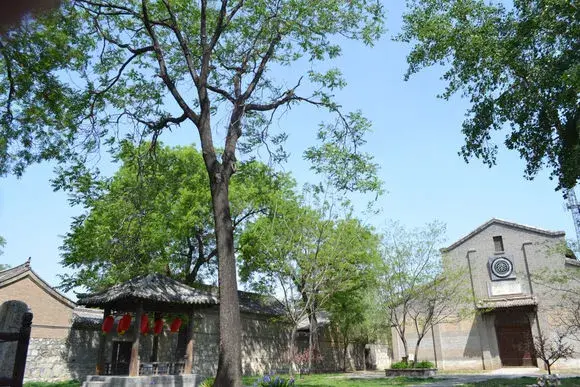 香椿和臭椿有关诗词赏析：樗材得椿寿，檀桂苦雕镌 - 知乎