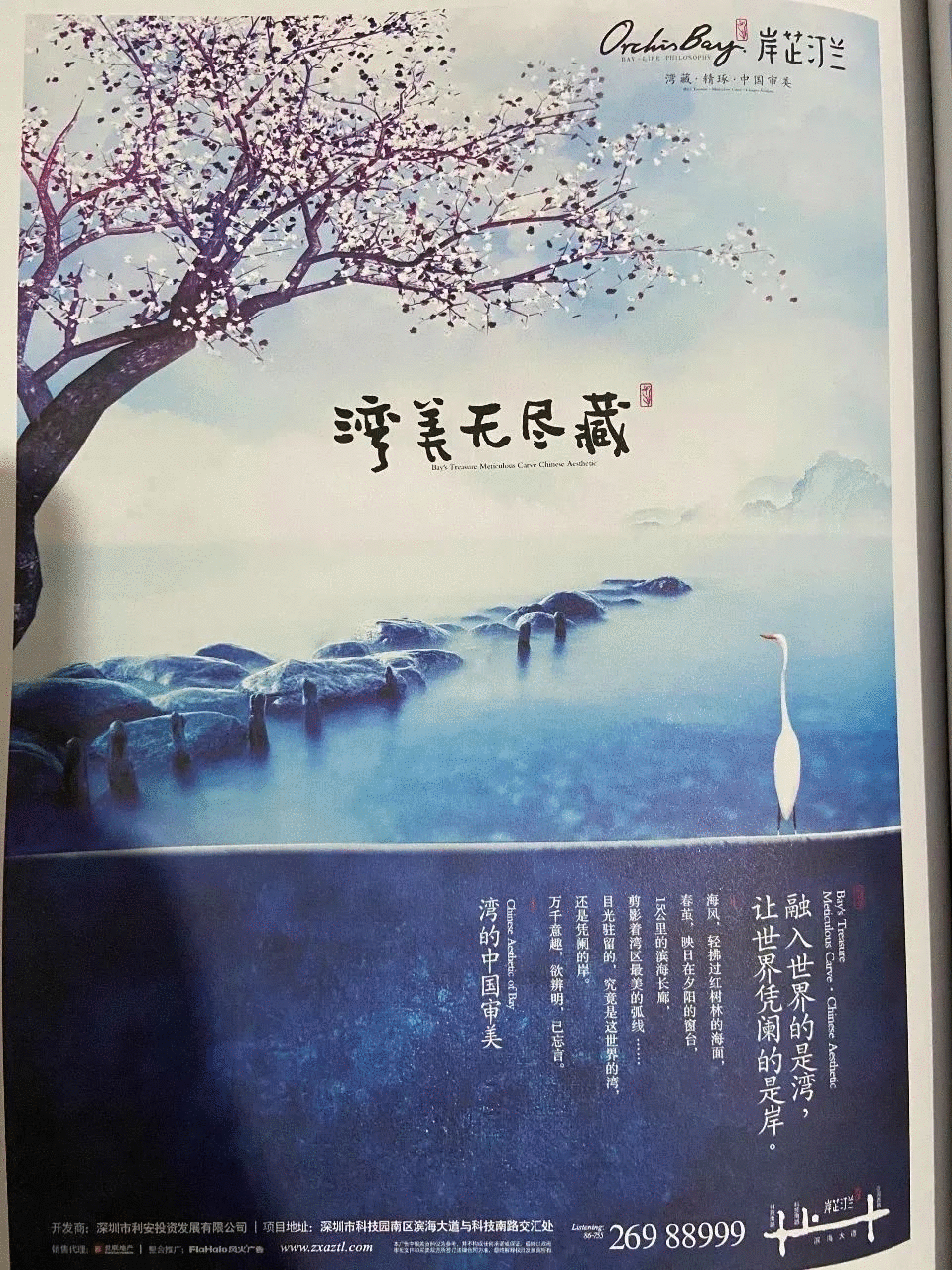 【岸芷汀兰】 - 知乎