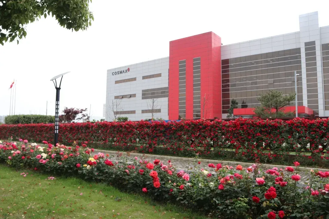 繁华盛开肖南路科丝美诗花墙云打卡