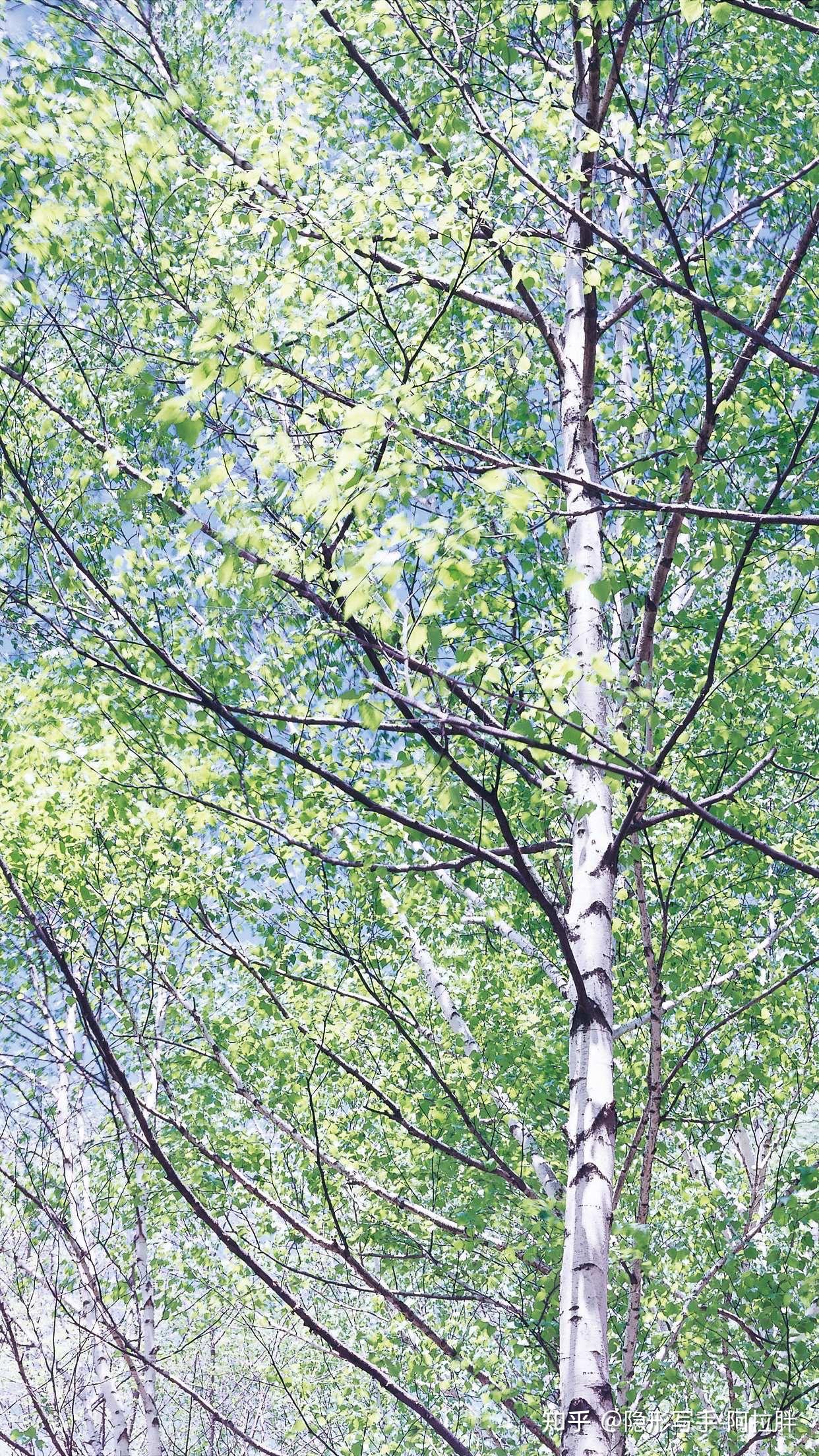 写作中常用的修辞手法都有啥？ - 知乎