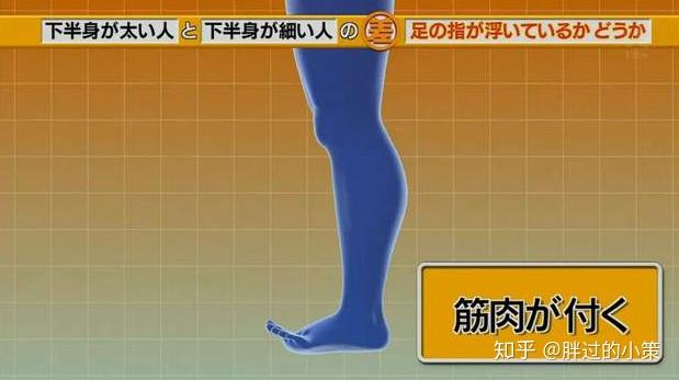 如何瘦腿特别是大粗腿 v2-d6710d58ca904c0047e293a493c37f1f_r.jpg