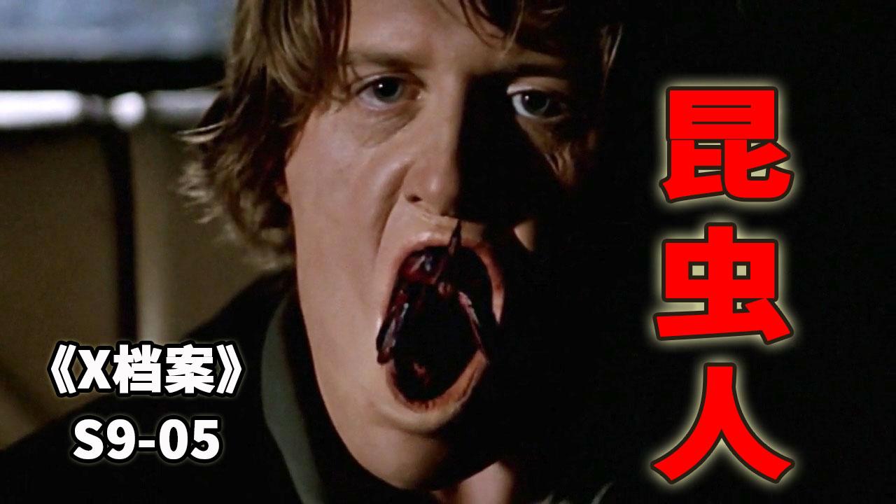 小镇出现变异蟑螂,发生多起蟑螂杀人案《x档案》