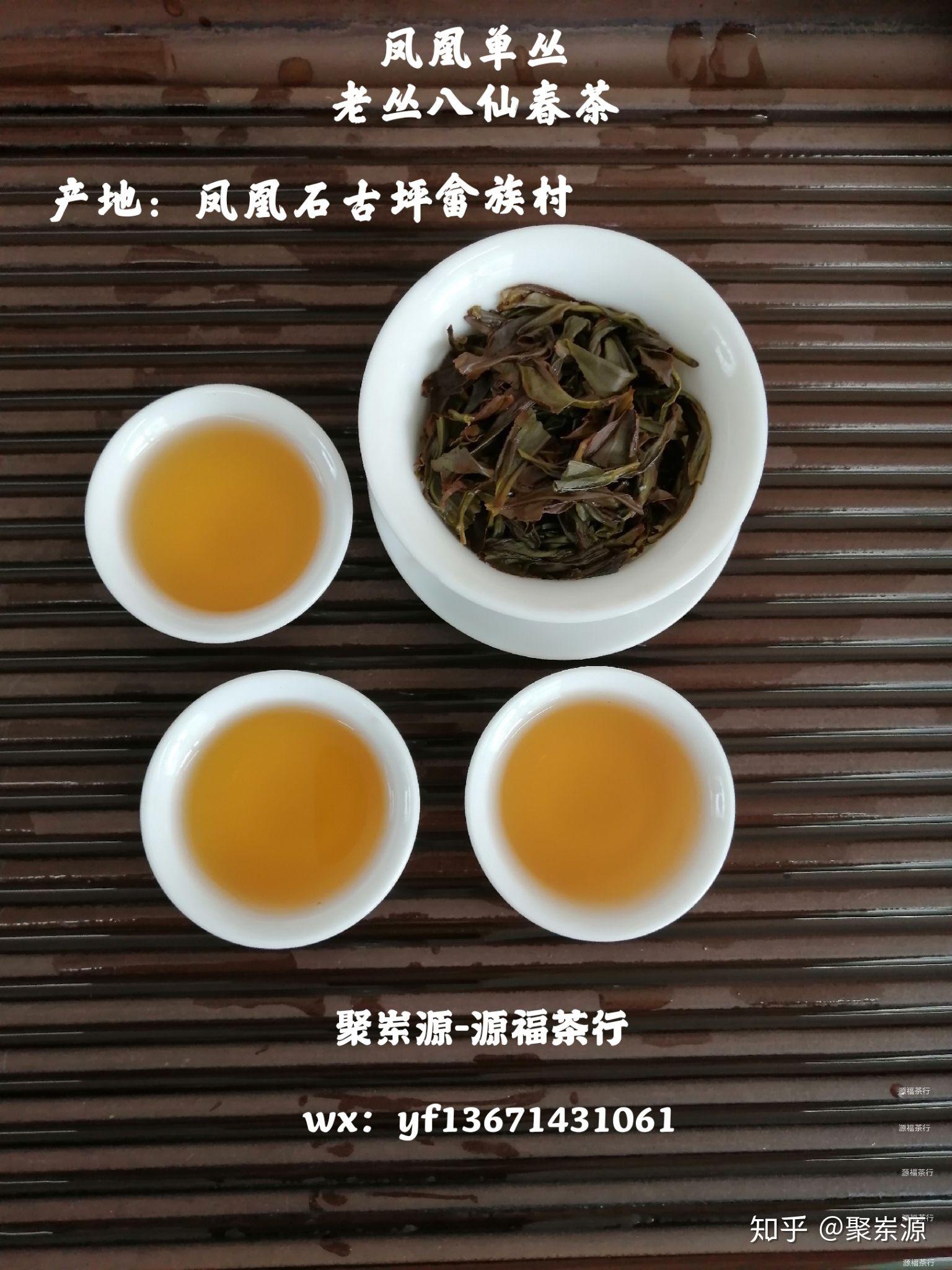 说一说与其它地方不同类茶种取同名字的凤凰单丛八仙茶