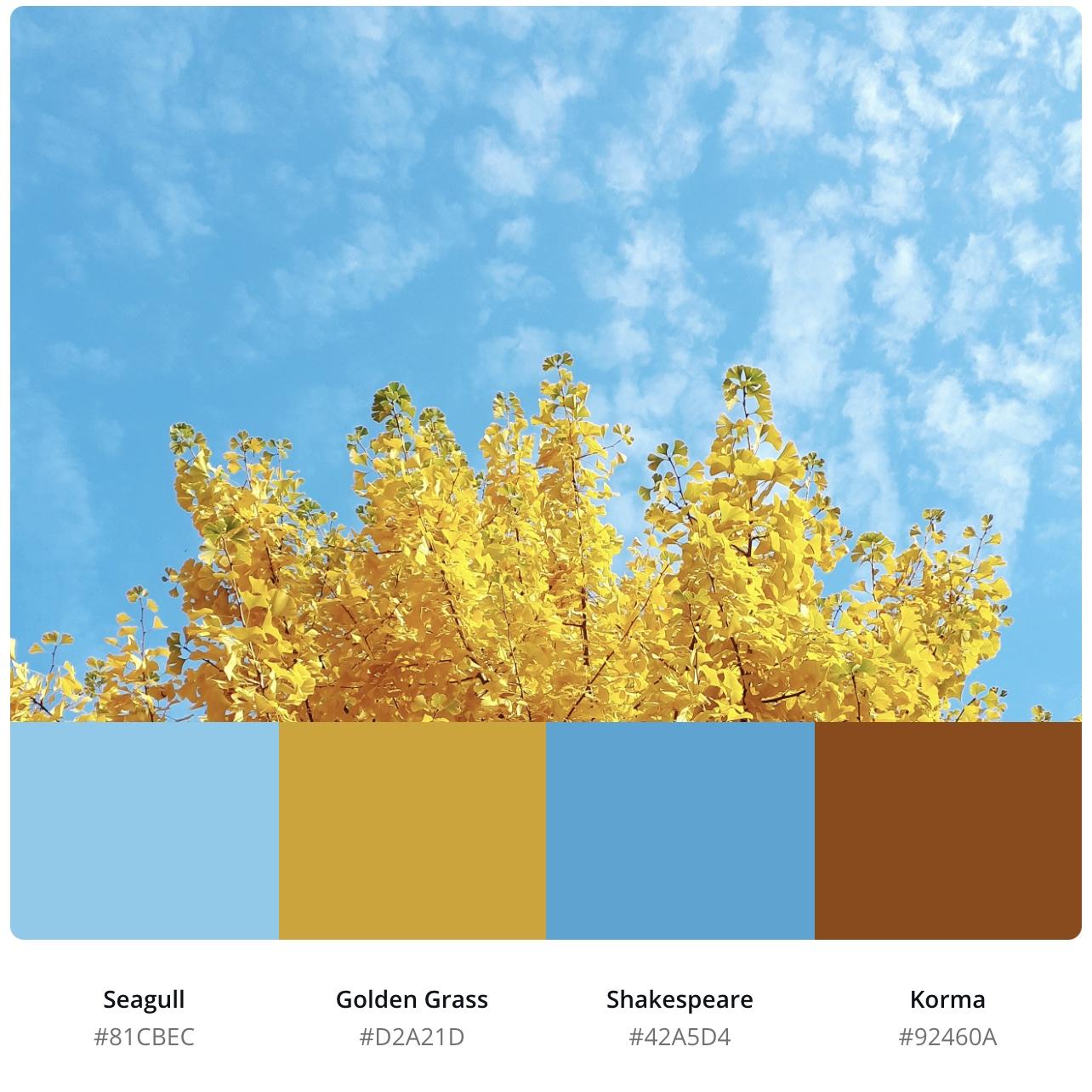 《当哈利到莎莉》《秋天的童话》《晚秋》电影里的秋天01秋天配色