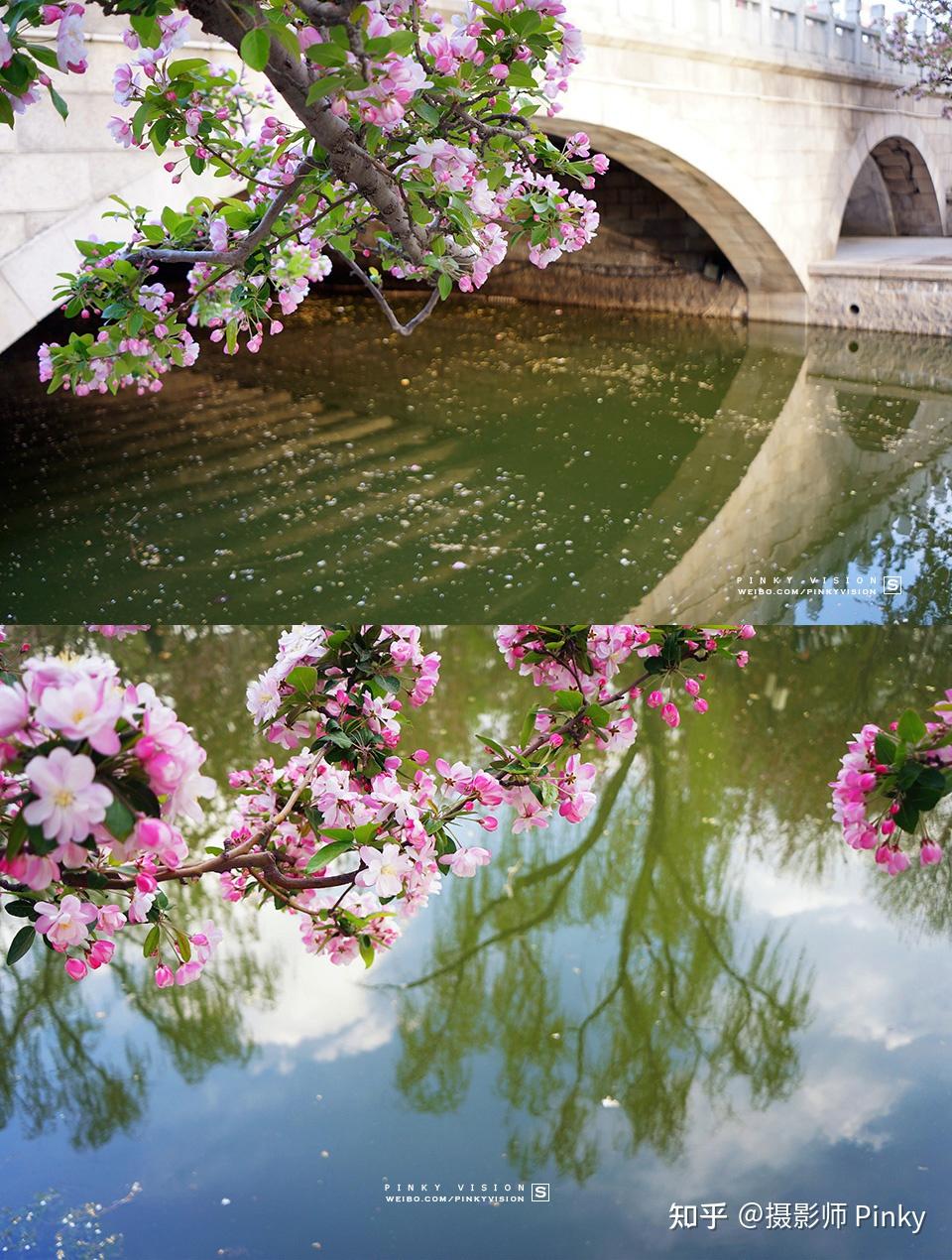 北京赏花花中神仙海棠花溪