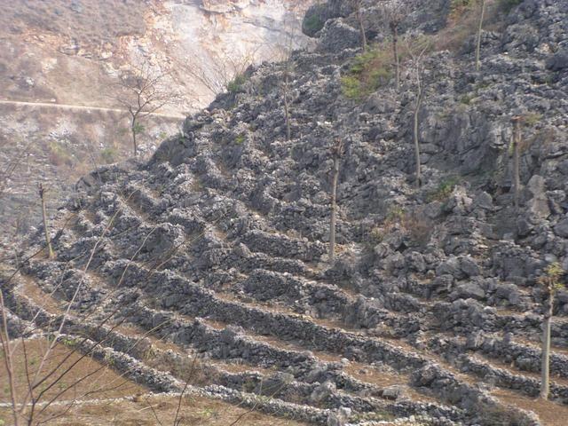 石漠化(石漠化的形成分析)