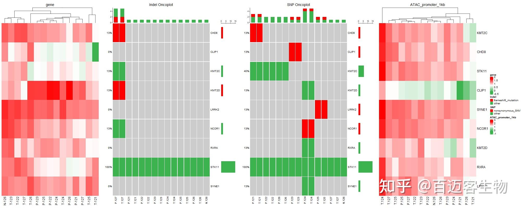 67基因瀑布图oncoplot和热图组合堪称癌症基因学研究利器