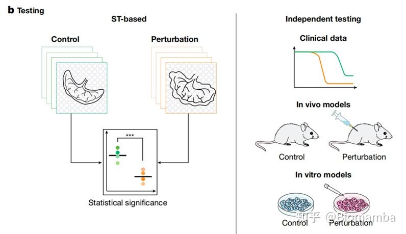 《Nature》经典综述：空间转录组学探索组织结构 - 知乎