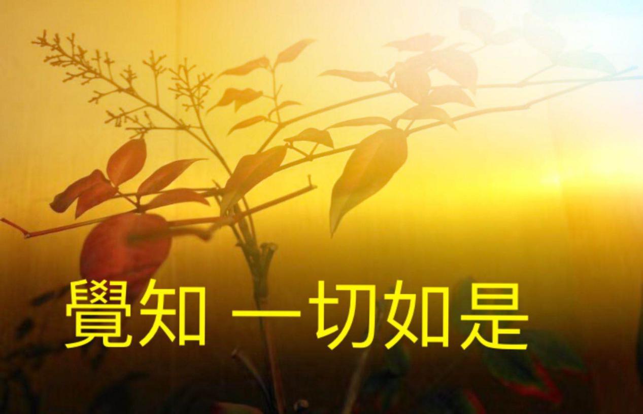 唯有觉知才能改变命运