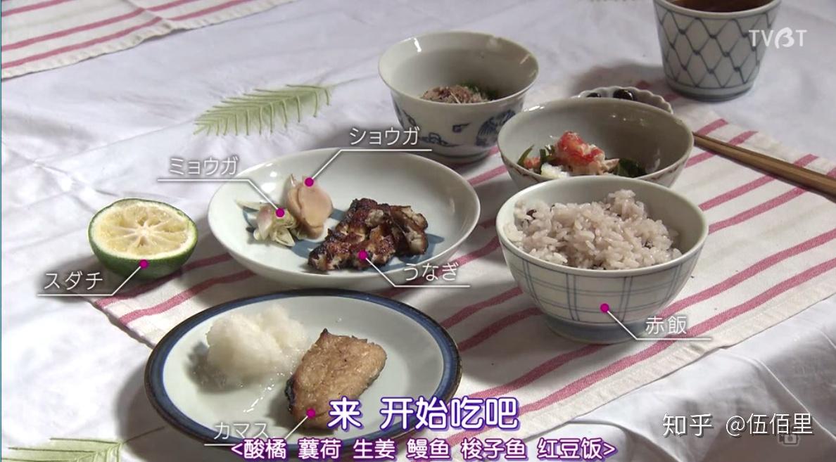 日本纪实纪录片中的一股清流人生果实看完泪流不止