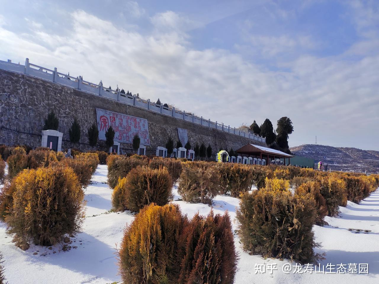 临渭区龙寿山墓园15209207263