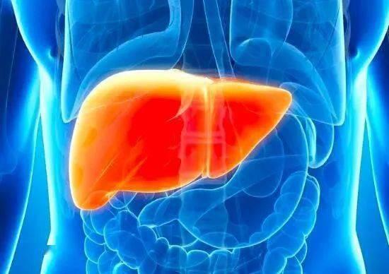 什么叫代偿机制 v2-d72ca8655b03ff701537c55e278a769a_1440w.jpg?source=172ae18b