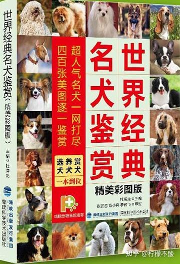 狗圈的这些事，你知道么（1） ——世界犬种分类 - 知乎