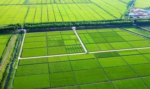 2035年,农村基本农田将全部建成高标准农田,有何区别? - 知乎