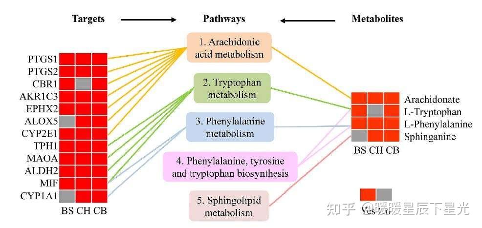 代谢组学数据分析及网络药理学结构案例分析推荐 - 知乎