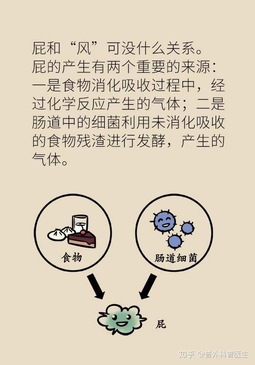 放屁很臭是什么原因?图片