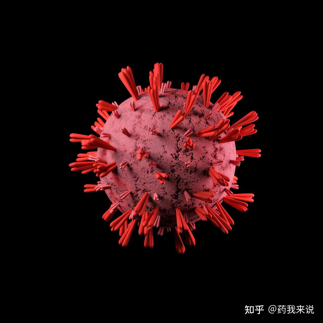 新冠病毒的样子图片