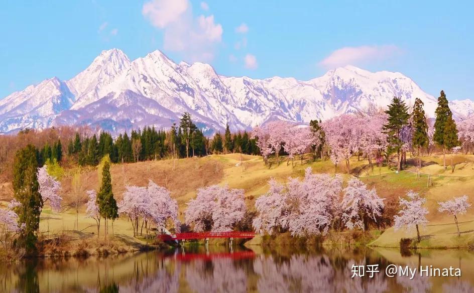 霓虹人眼中的“霓虹美景”(15)——新泻县 - 知乎
