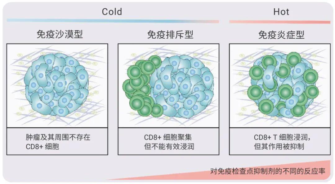 靶向肿瘤微环境 丨“冷”肿瘤如何变“热”- MedChemExpress - 知乎