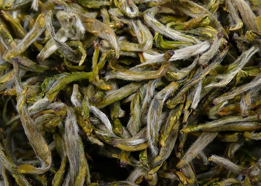 黄茶 | 黄茶可以用哪些方式来分类,主要品种有哪些特点 - 知乎