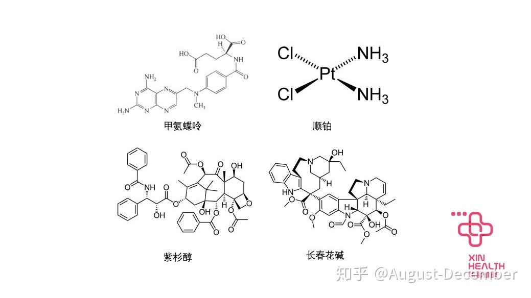 在1953年,著名的dna雙螺旋結構被發現以後,人們馬上想到,癌細胞想要