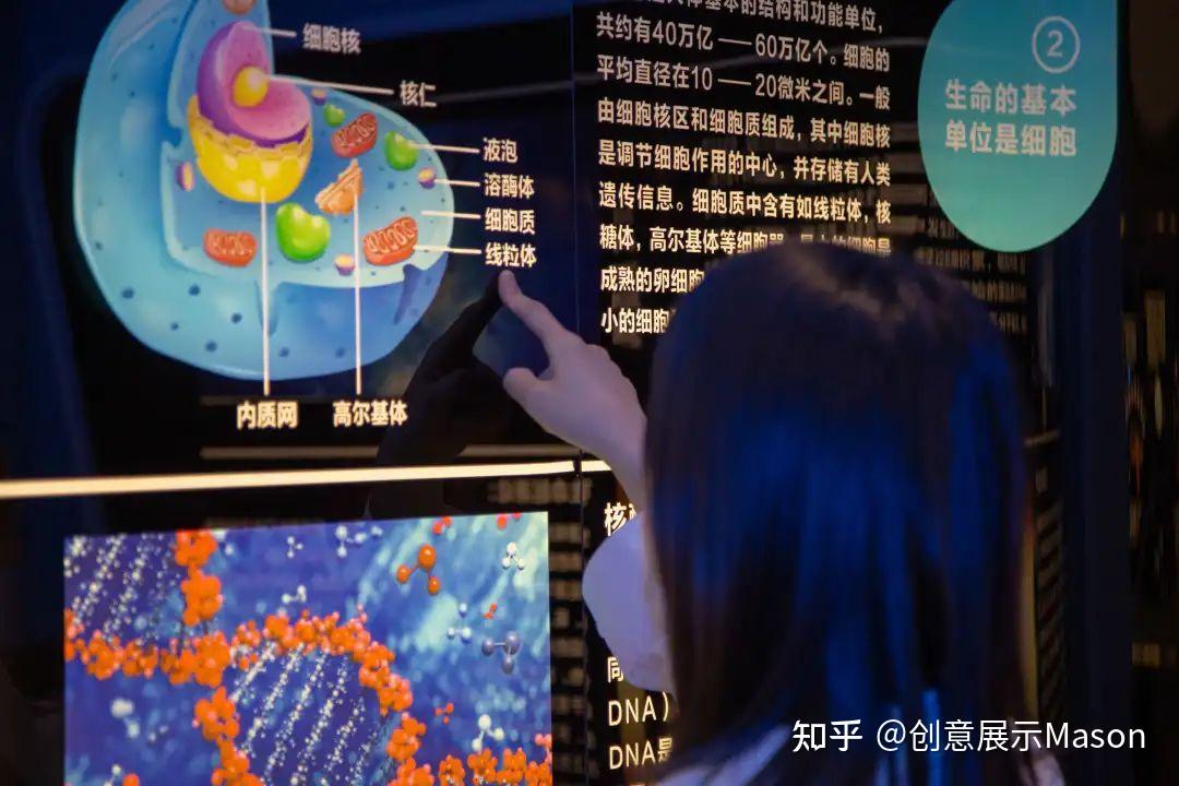 干细胞生命科学科普馆展厅设计分享｜生物医疗｜大健康｜基因 | 免疫治疗 - 知乎