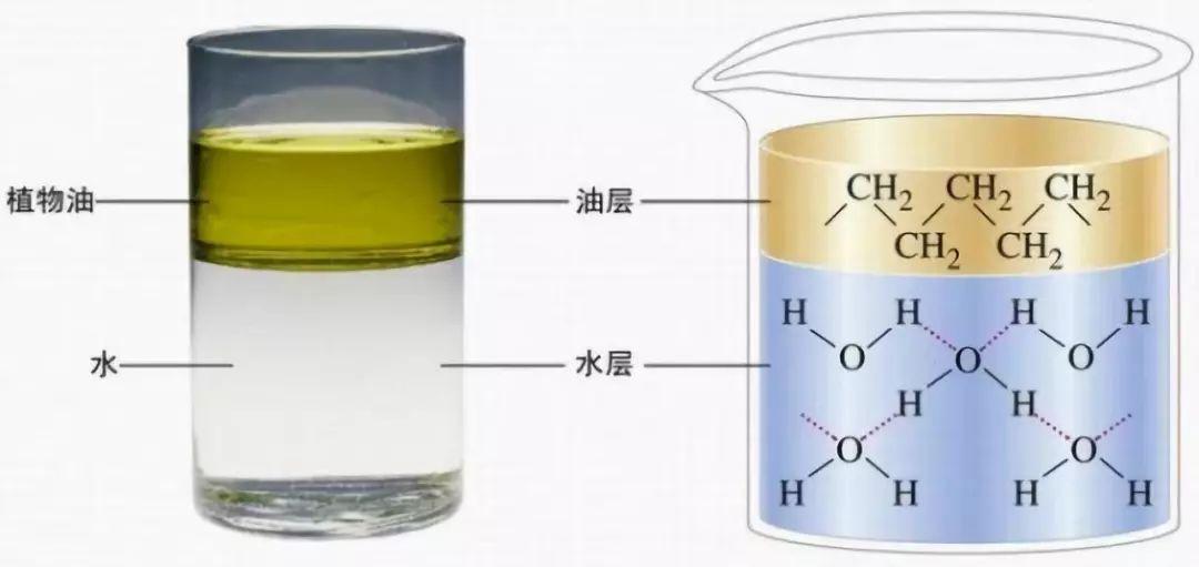 素菜汤能看到清水,未长时间煎熬的骨头肉类也是清汤,水油分层如下