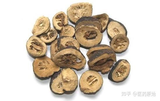 带你识别枳实 - 知乎