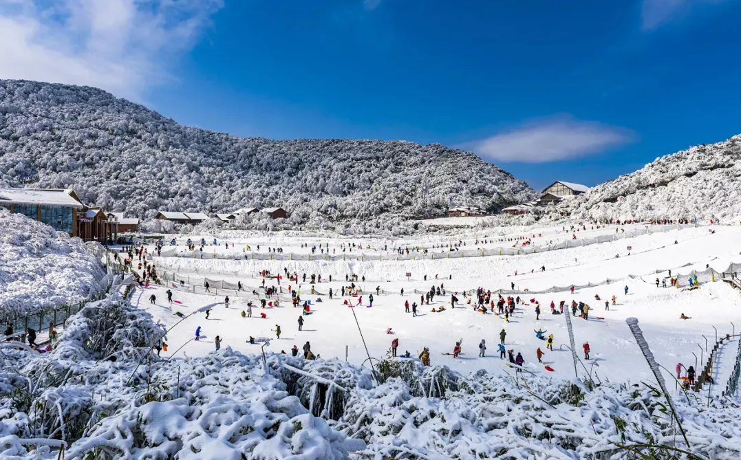 下得那么深~南川金佛山旅游巴士丨重庆四公里—仙女山;重庆解放碑