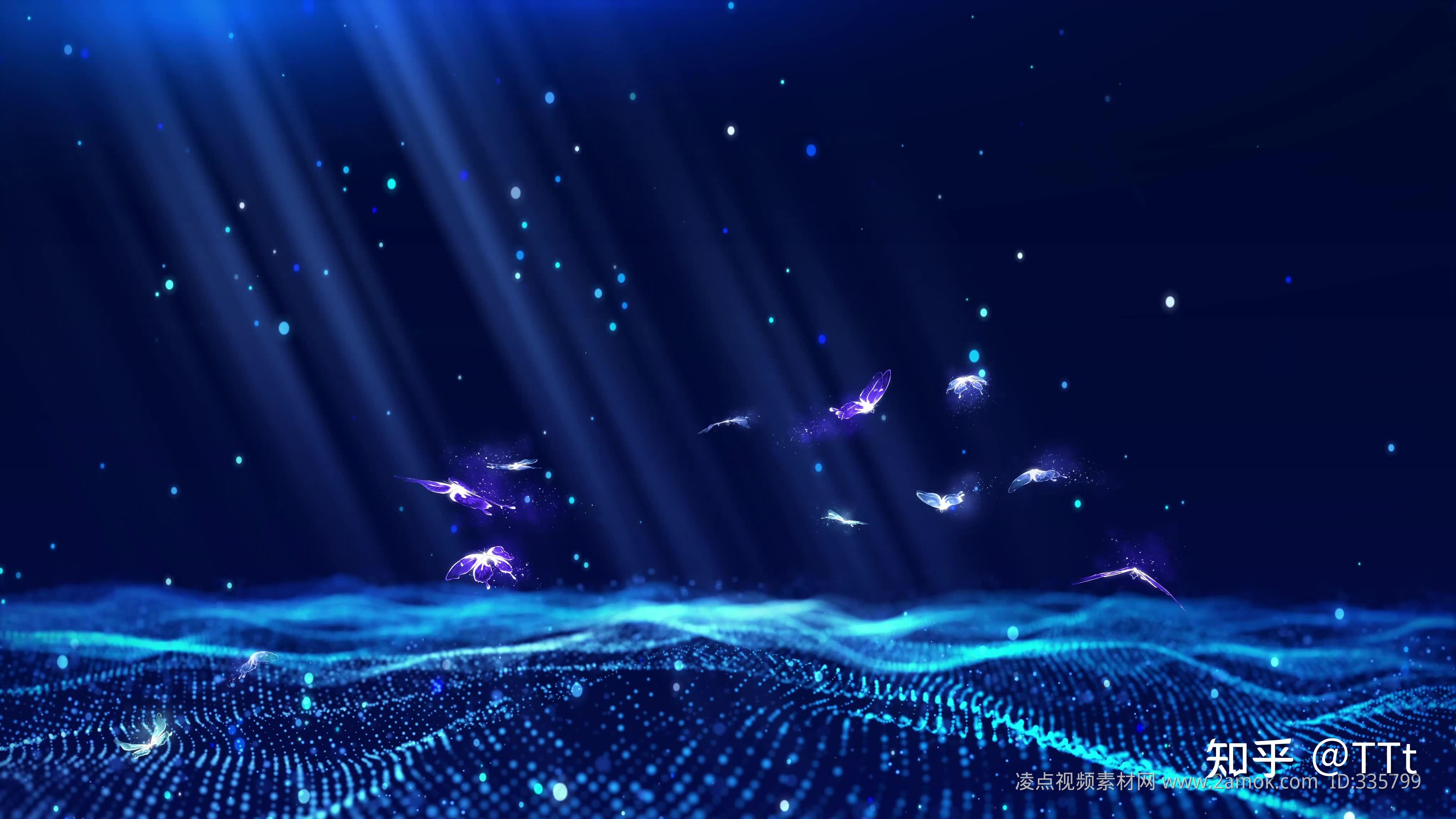 提供高清视频资源与独家评论的十大体育网站综合指南