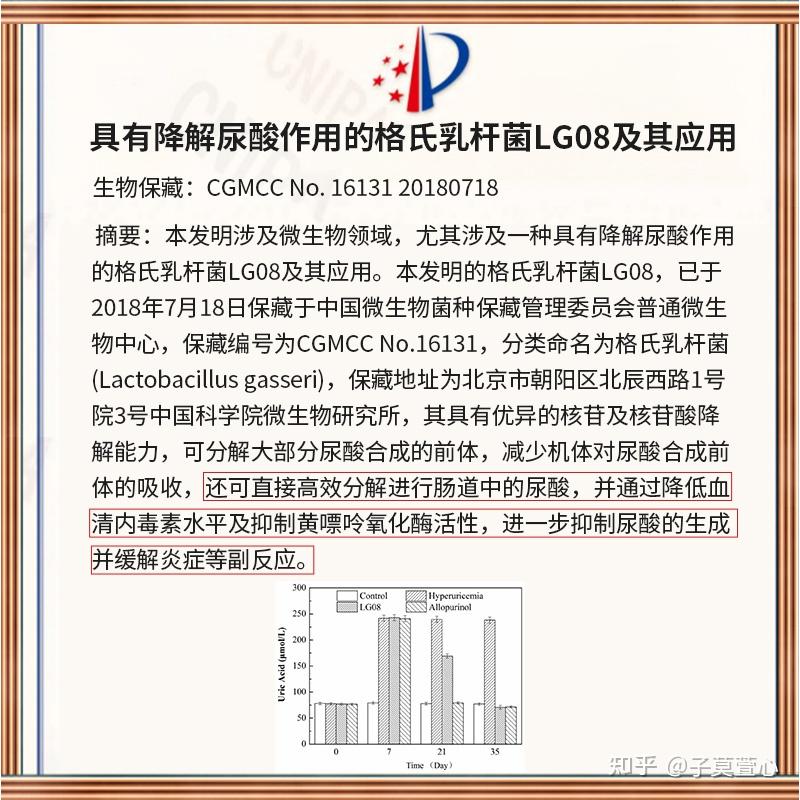 格氏乳杆菌降尿酸原理