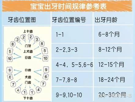 宝宝出牙的时间和规律