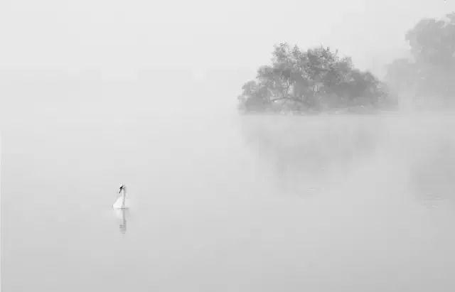 秋冬多雾,如何在下雾天拍出梦幻神秘的氛围感大片? - 知乎
