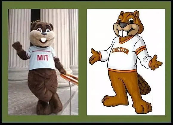 清柚说 | 美国大学探秘之吉祥物篇,那只吉祥物辣到了你的眼睛?