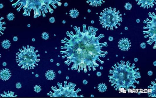 【父母必读】孩子易感染腺病毒,干细胞是否有效? - 知乎