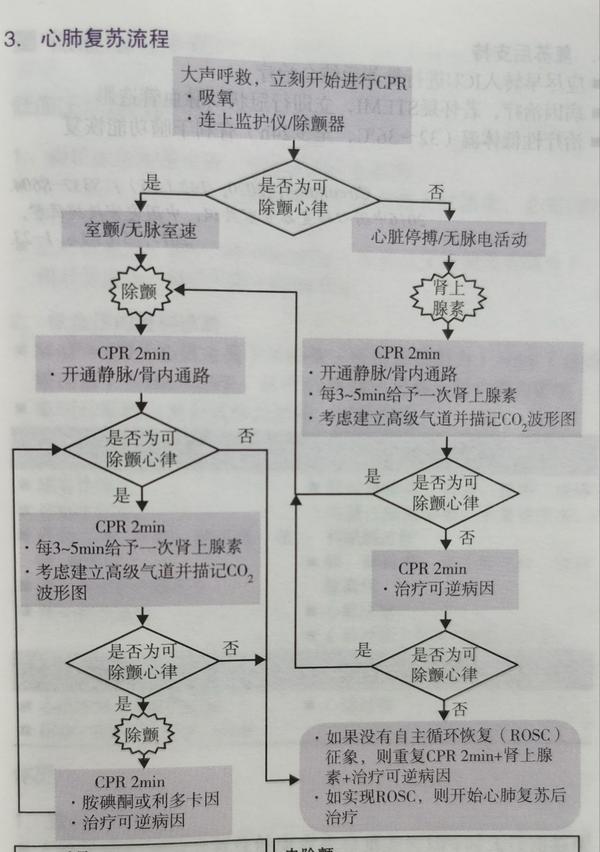 心肺复苏流程一 - 知乎