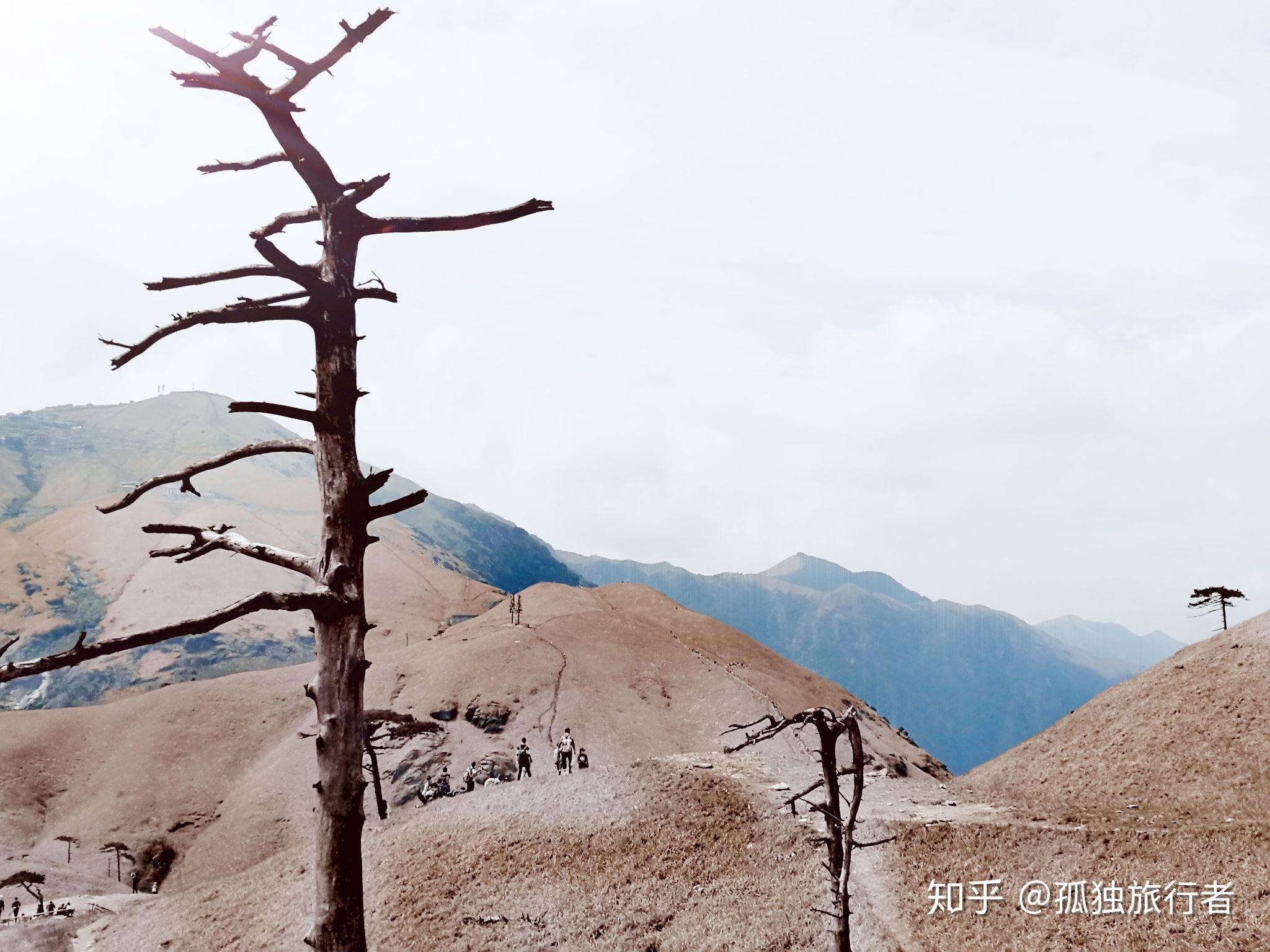 263 2019年第九游武功山—— 徒步,一个人变得优秀的开始 - 知乎