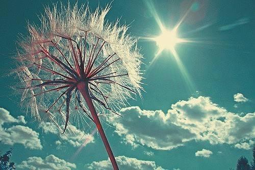 v2-d7b609827848bdcf5b803d7a4ecbb827_1440w.jpg?source=172ae18b